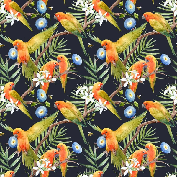 Aquarelle motif perroquets tropicaux — Photo