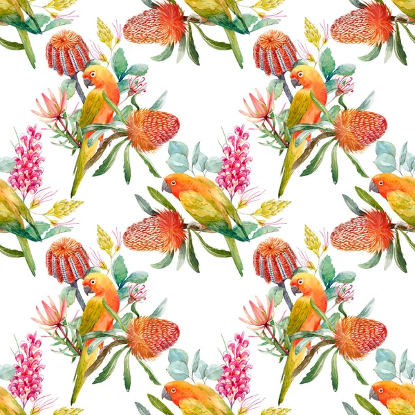 Aquarelle motif perroquets tropicaux — Photo