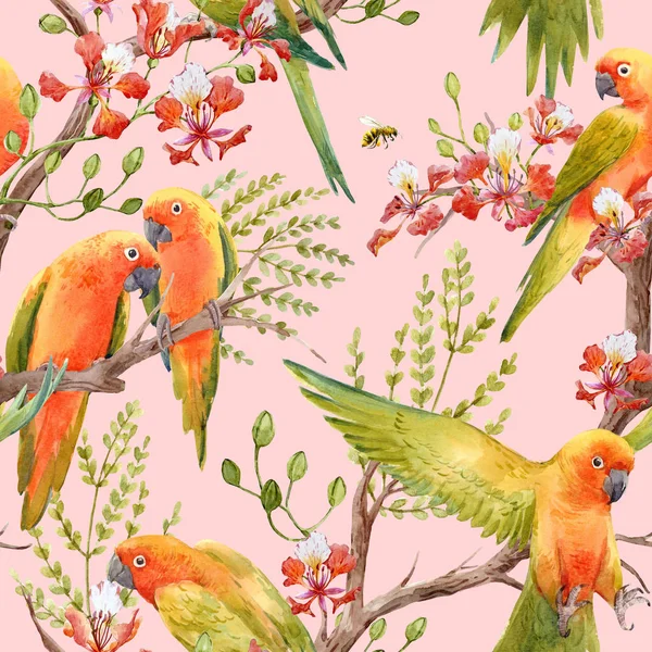 Akvarelu tropické papoušky vzor — Stock fotografie