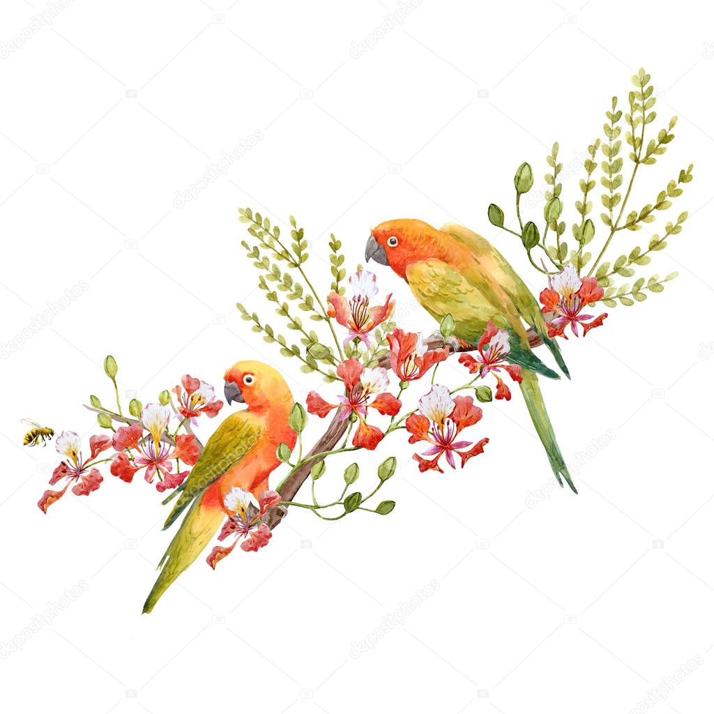 Watercolor tropical parrots composition
