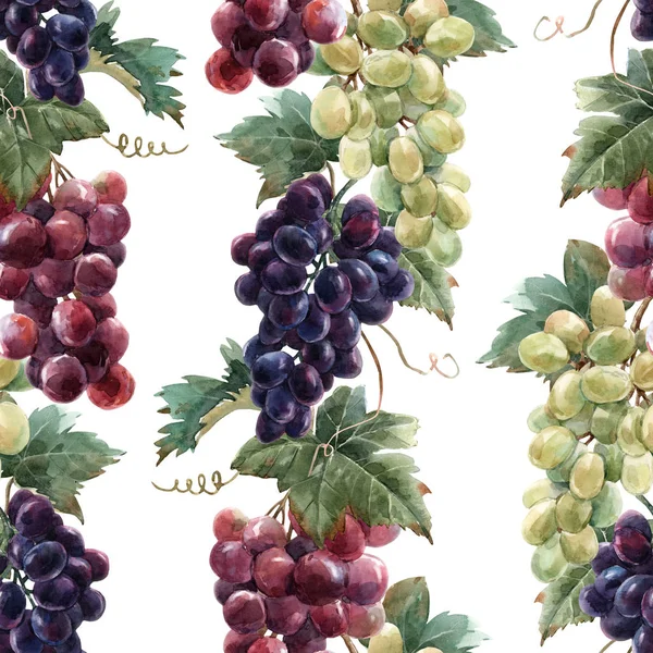 Padrão de uva aquarela — Fotografia de Stock