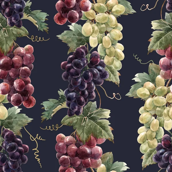 水彩葡萄模式 — 图库照片
