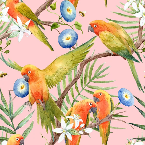 Watercolor tropical parrots pattern — Stock Photo, Image