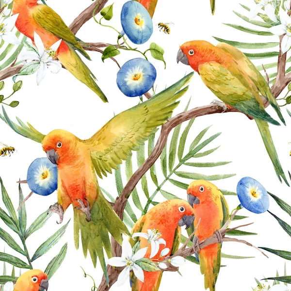 Padrão de papagaios tropicais aquarela — Fotografia de Stock