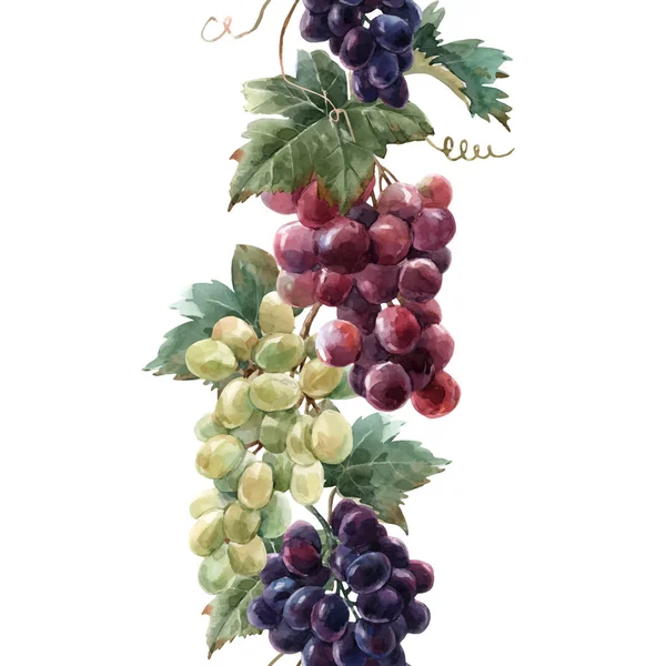 Patrón vectorial de uva acuarela — Vector de stock
