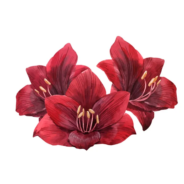 Acquerello fiori vettoriale illustrazione — Vettoriale Stock