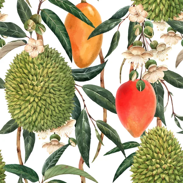 Acuarela patrón inconsútil vector tropical durian — Archivo Imágenes Vectoriales
