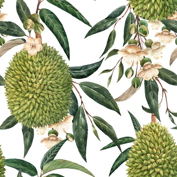 Watercolor durian tropical seamless pattern — Stock Photo, Image