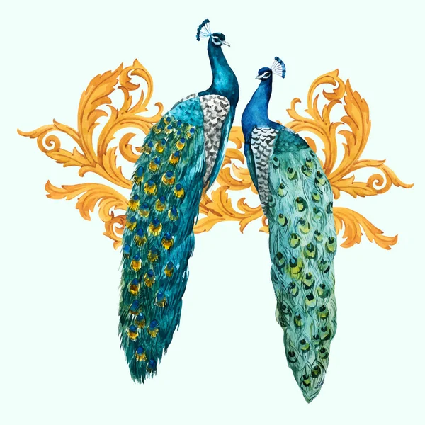 Aquarel peacock vector samenstelling — Stockvector