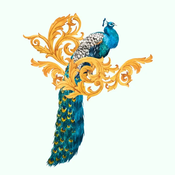Aquarel peacock vector samenstelling — Stockvector