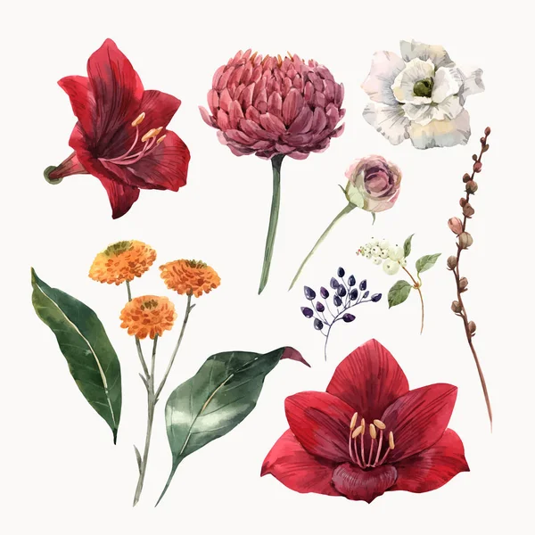 Juego de vectores florales acuarela — Vector de stock
