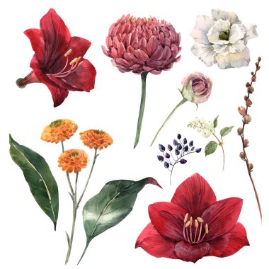 suluboya çiçek kümesi