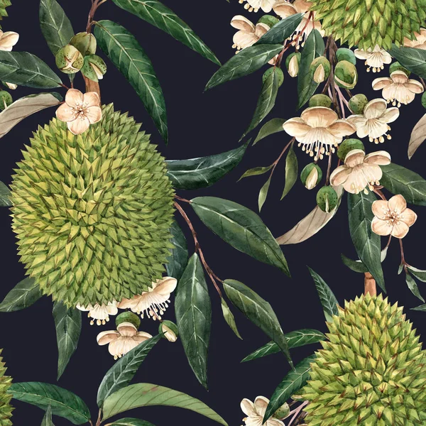 Akwarela durian tropikalny wzór — Zdjęcie stockowe
