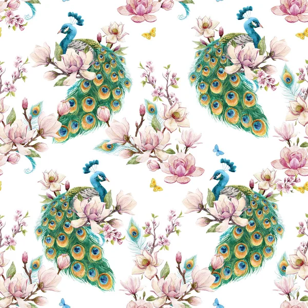 Watercolor peacock pattern — Stock Photo, Image