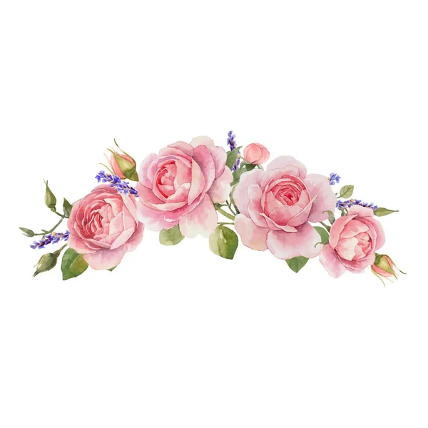 Aquarelle rose vecteur omposition — Image vectorielle