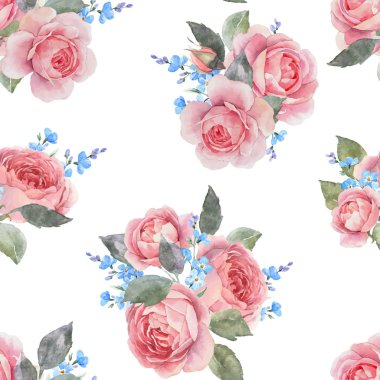 Suluboya gül çiçek vektör desen