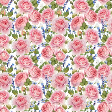 Suluboya vektör desen gül