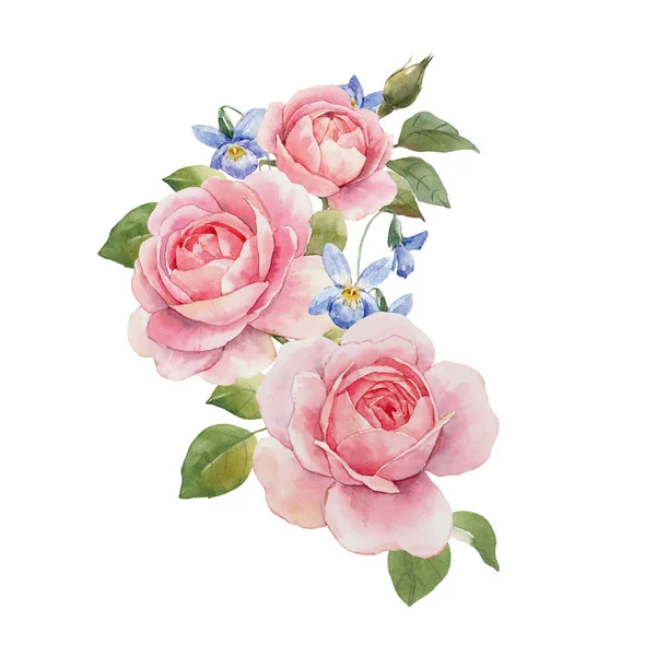 Akwarela róży skład — Zdjęcie stockowe