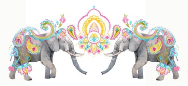 suluboya fil illüstrasyon