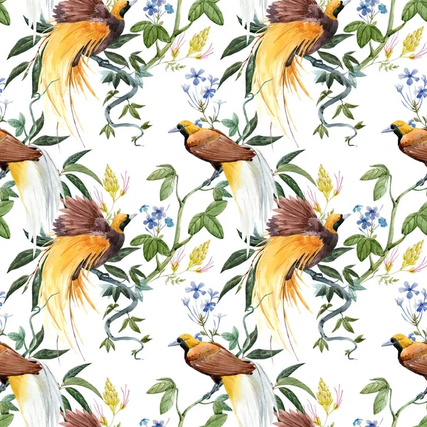 Suluboya tropikal desensiz