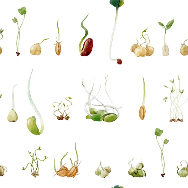 Feijão aquarela sementes de ervilhas padrão de brotos — Fotografia de Stock