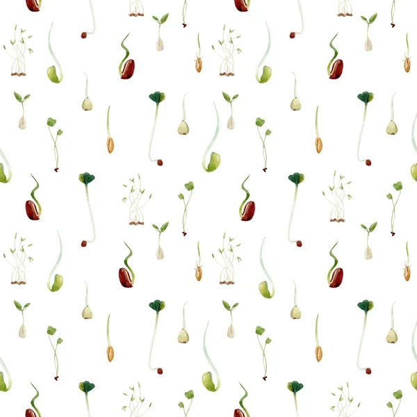 수채화 콩 완두콩 씨앗 콩나물 패턴 — 스톡 벡터