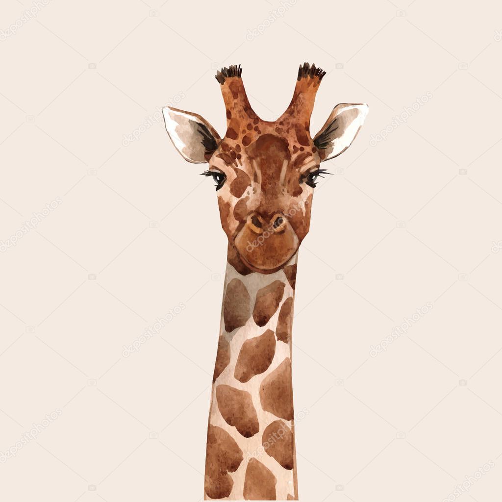 Watercolor giraffe vector portrait