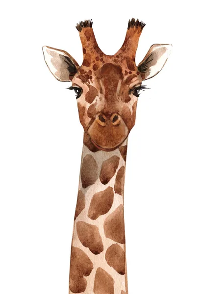 Watercolor giraffe portrait — Stock Photo, Image