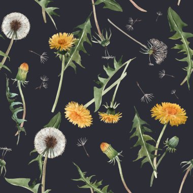 Suluboya karahindiba blowball vektör deseni