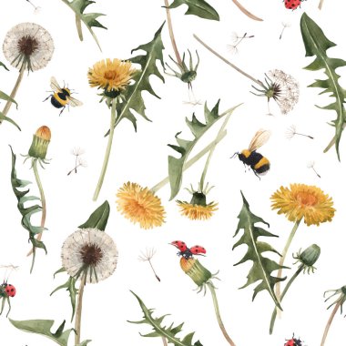 Suluboya karahindiba blowball vektör deseni