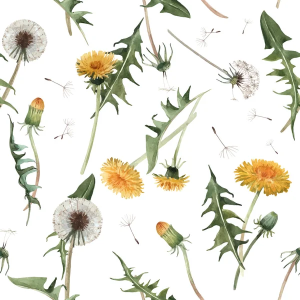 Aquarell Löwenzahn Pusteblume Vektor Muster — Stockvektor