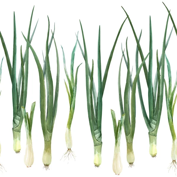Green onion vector composition — Stock Vector