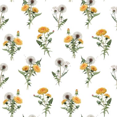 Suluboya karahindiba blowball çiçek dikişsiz desen