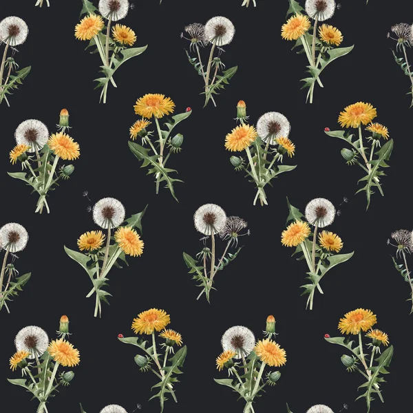 Цветочный узор из одуванчиков акварели — стоковое фото