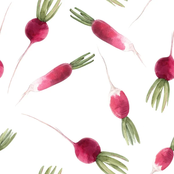 Watercolor radish seamless pattern — Stock Photo, Image