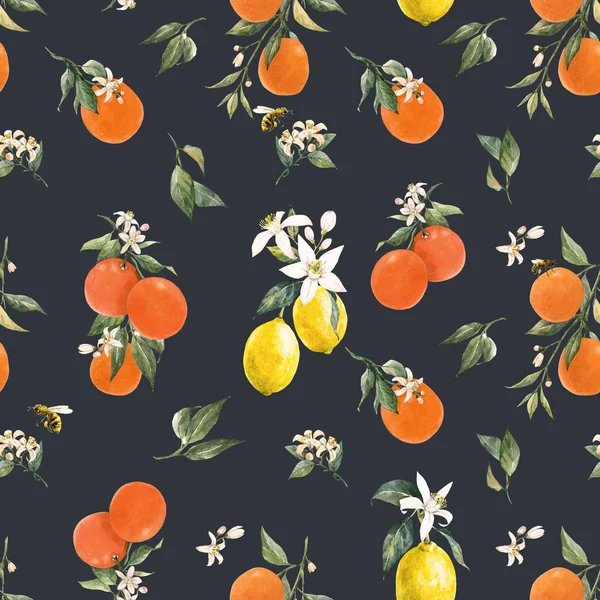Akvarel citrusové vzor — Stock fotografie