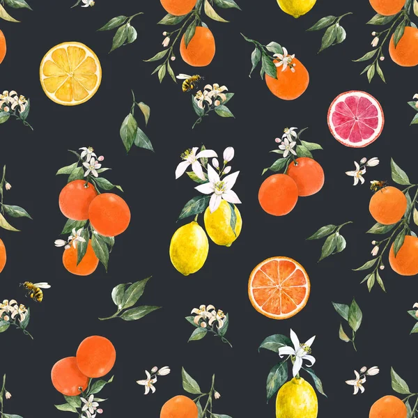 水彩柑橘模式 — 图库照片