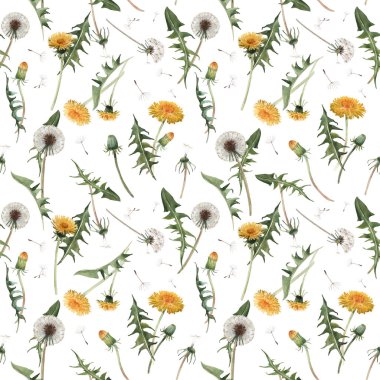 Suluboya karahindiba blowball çiçek dikişsiz desen