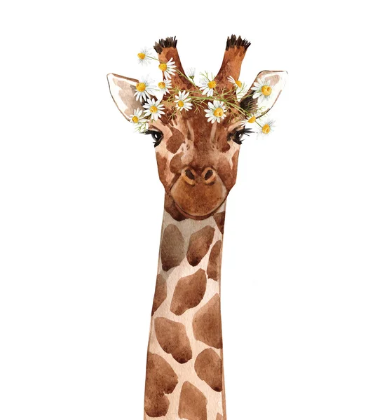 Akvarell giraff porträtt — Stockfoto