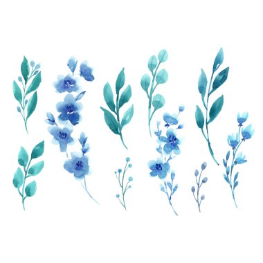 suluboya çiçek kümesi