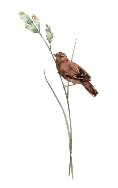 Oiseau aquarelle sur la fleur — Photo