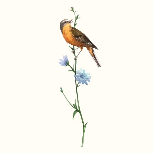 Aquarel vector vogel op de bloem — Stockvector