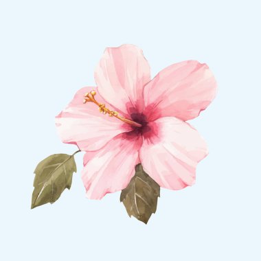 Suluboya hibiscus vektör illüstrasyon