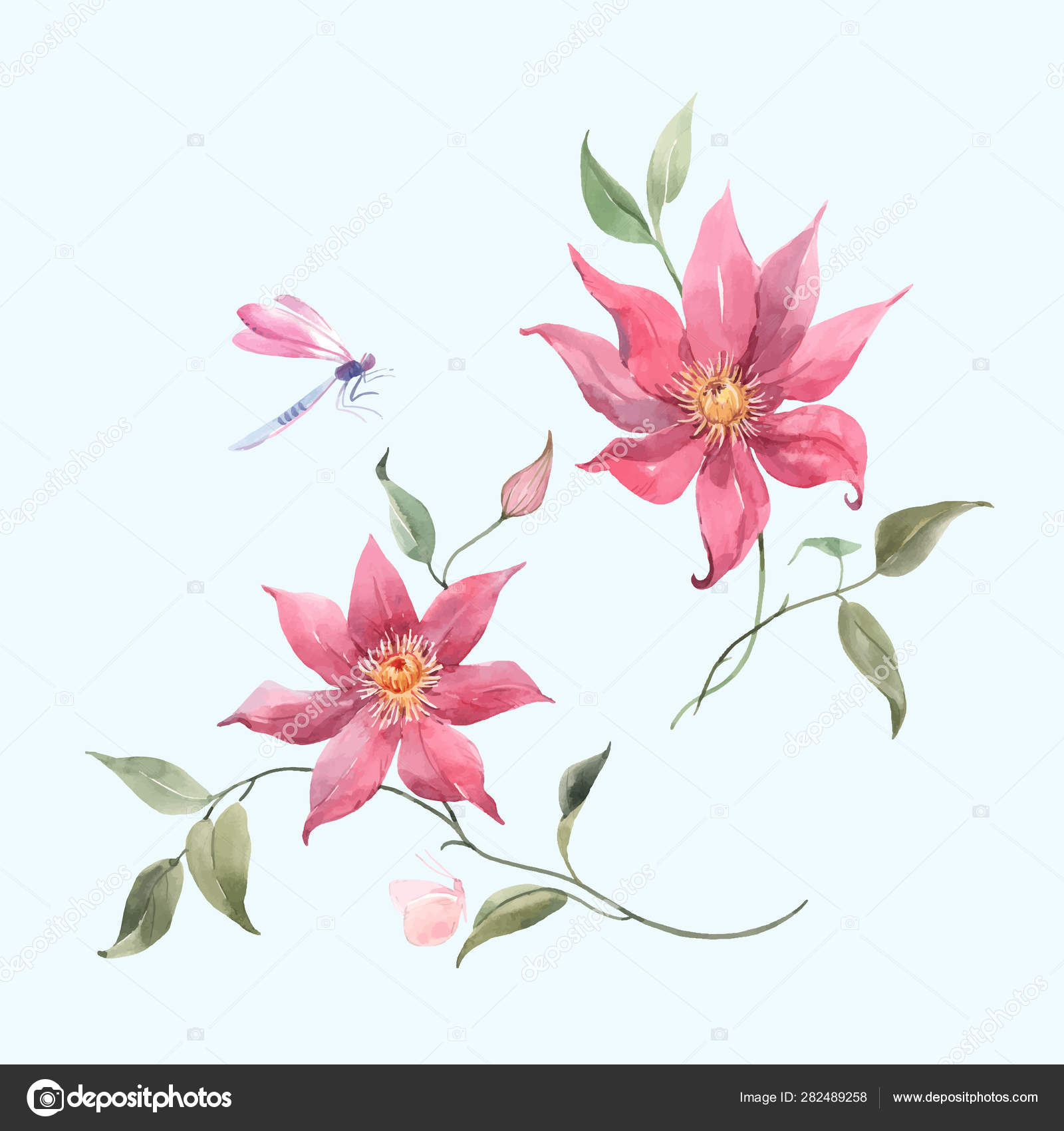 水彩ピンクの熱帯ベクトルの花 ストックベクター C Zeninaasya 水彩ピンクの熱帯ベクトルの花 ストックベクター C Zeninaasya