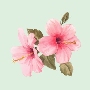 Suluboya hibiscus vektör illüstrasyon