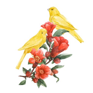 Kuşlar ve çiçekler suluboya kompozisyon
