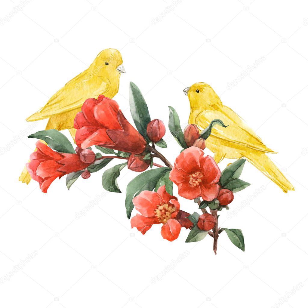 Birds and flowers watercolor composition