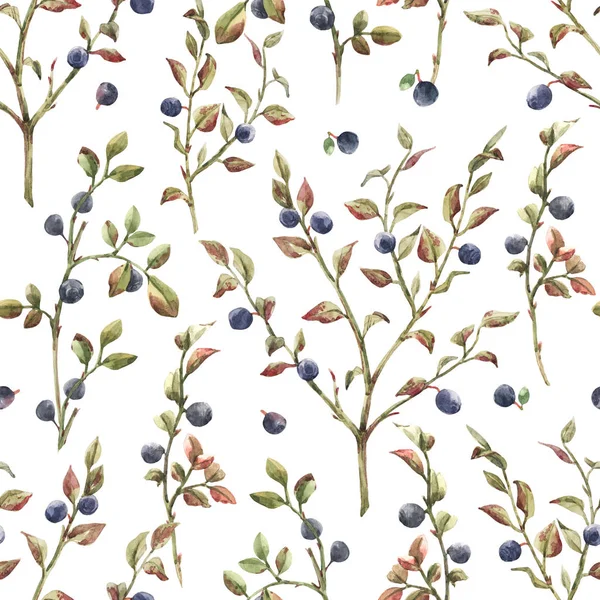 Watercolor blueberry pattern — Stock Photo, Image
