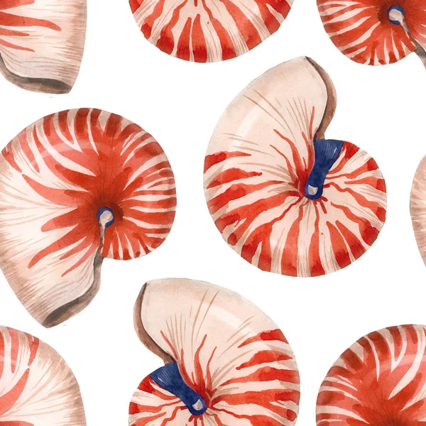 Aquarelle vie marine motif coquille nautilus — Photo