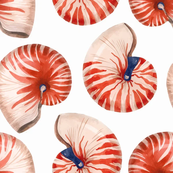 水彩海洋生物鹦鹉螺壳矢量图案 — 图库矢量图片